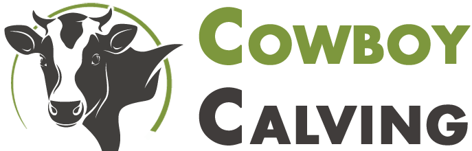 Cowboy Calving